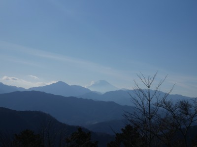 富士山見えたよー