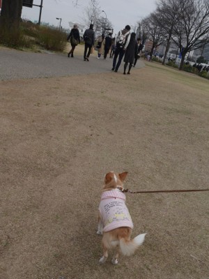 横浜を散歩