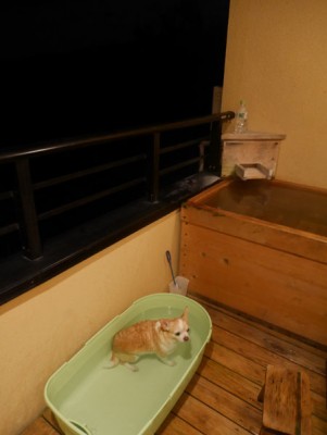 プチホテルアニマーレプレミアム犬と温泉
