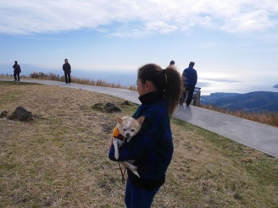 伊豆高原大室山リフト犬と一緒