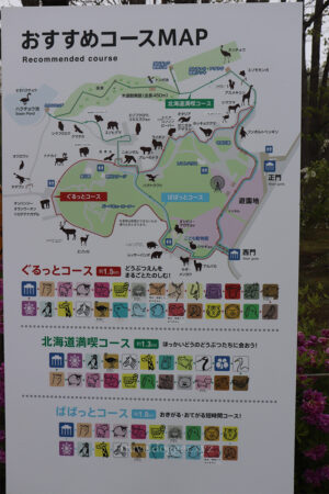 おすすめコース