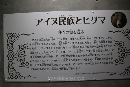 ヒグマ