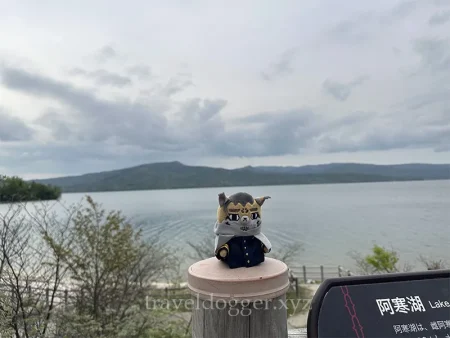 お水が綺麗
