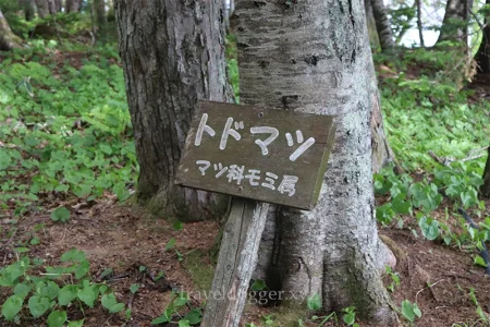 松野トド松「これでいいのだ」