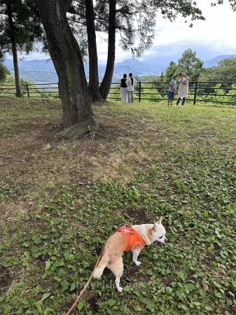 赤城高原SAで休憩のキキさん