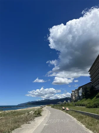 新潟最高!