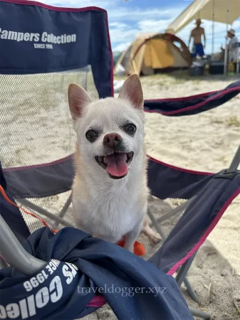 夏のキキさん