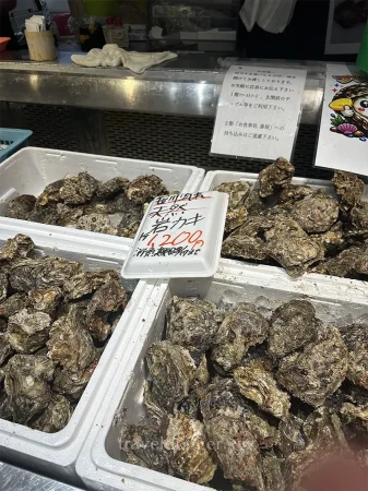 並べられた牡蠣
