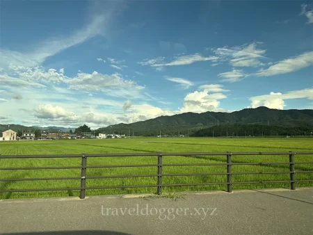 こんなかんじの景色が続く