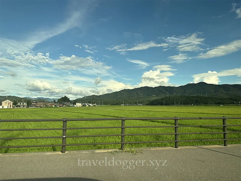 こんなかんじの景色が続く